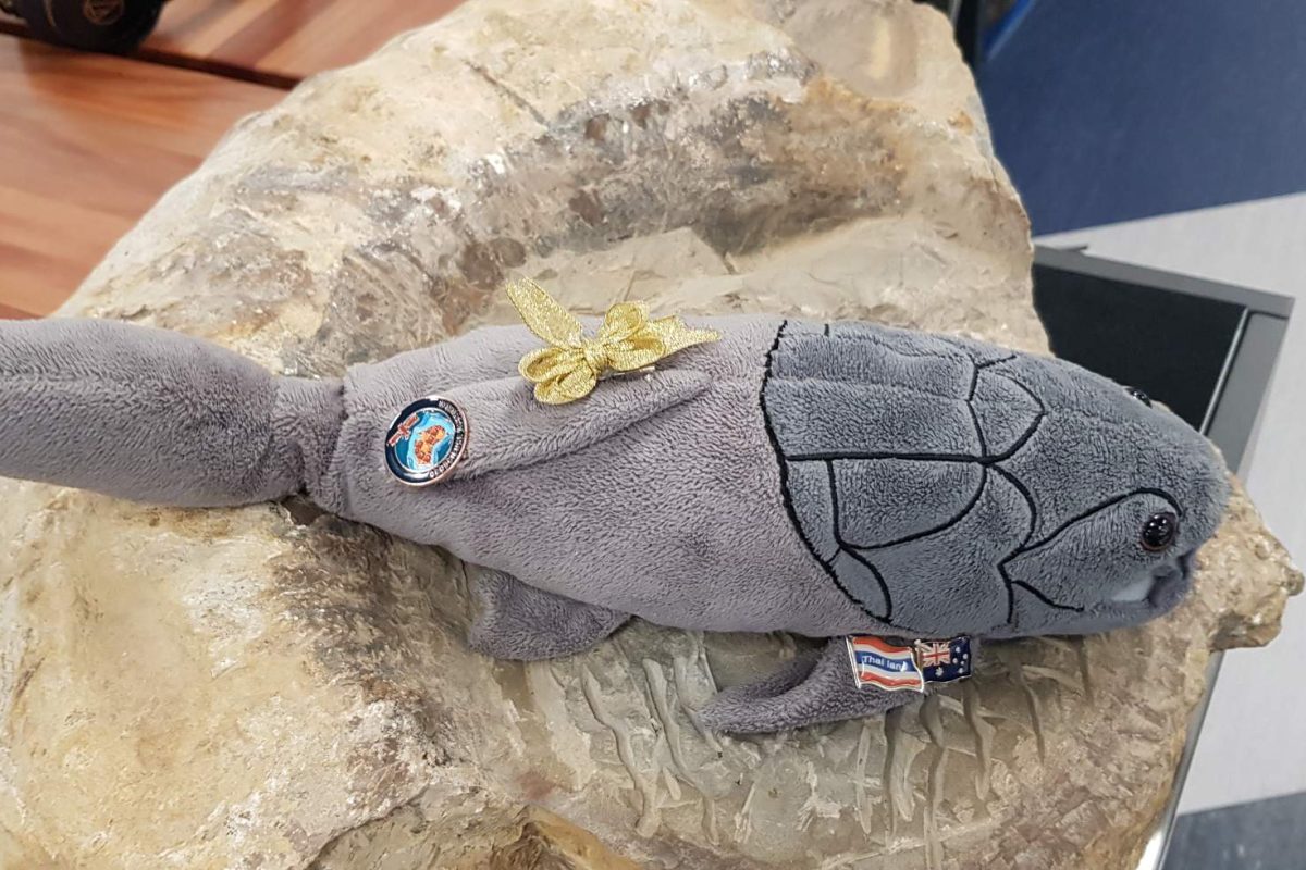 A Fish from Deep Time: The Mascot Bringing the Earth and Environmental Science Olympiad Community Together image